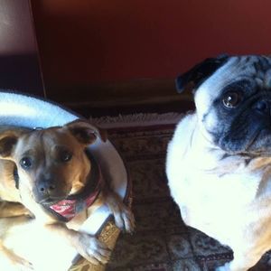 Meet your Posher, Vickie